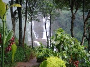 Шри-Ланка и ее национальные парки