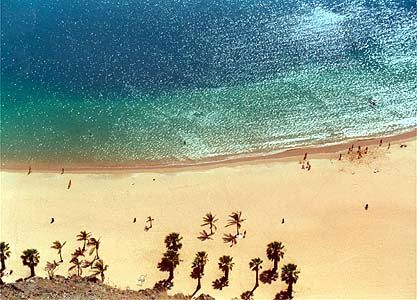 Тенерифе: остров вечной весны