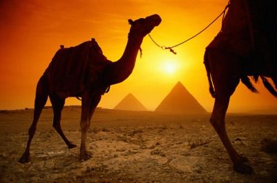 Отдыхаем в Египте