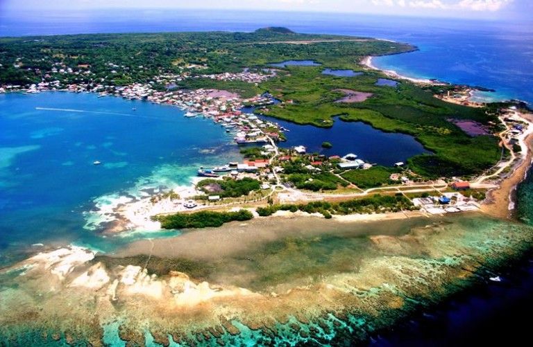 Незабываемый дайвинг на островах Гондурасского залива