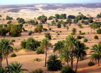 Исламская Республика Мавритания - Государство в Африке
