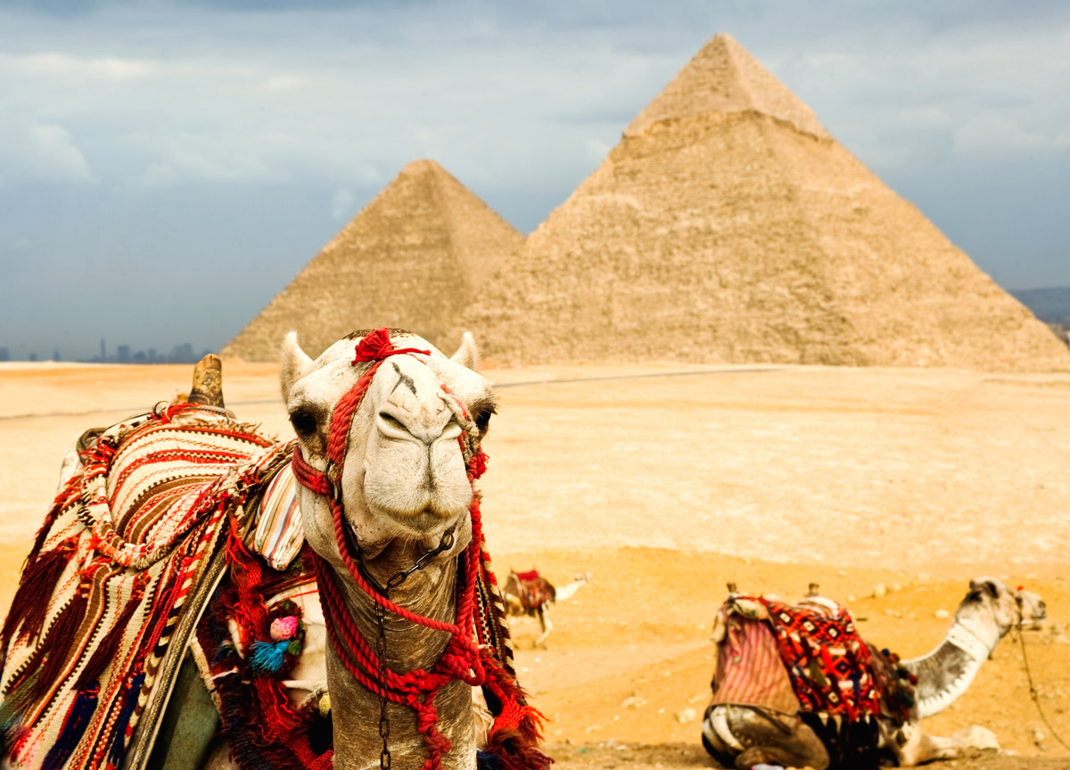 Куда поехать отдыхать в Египет