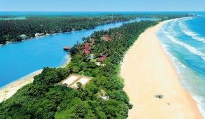 Прибрежные курорты Шри-Ланки: особенности отдыха на них