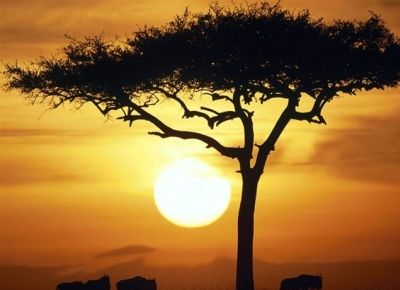 Солнечная Эфиопия