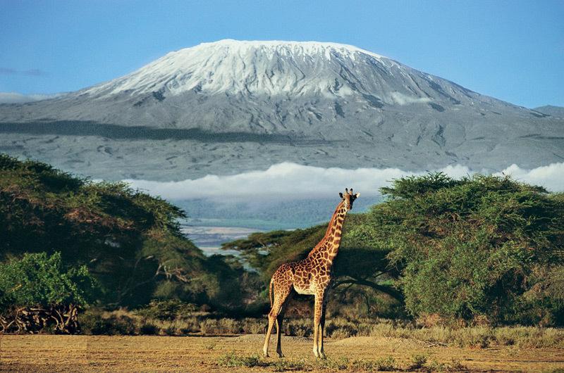 Выгодные туры в Кению – жемчужину черного континента
