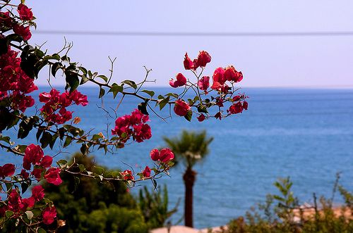 Кипр: прекрасный остров богов