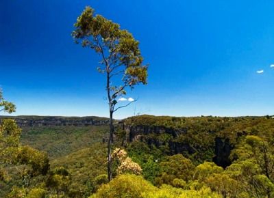 «Голубые горы» - национальный парк Австралии