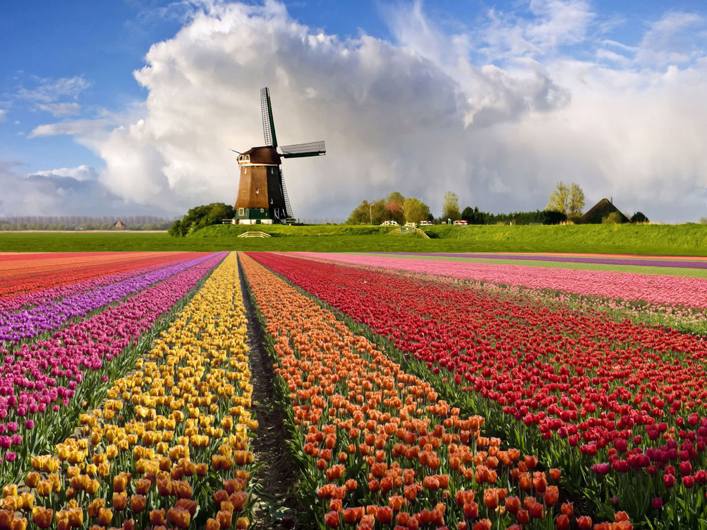 Куда поехать в Нидерландах
