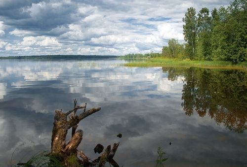 Рыбная ловля в Новгородской области