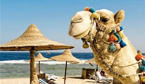 Излюбленный туристами Египет
