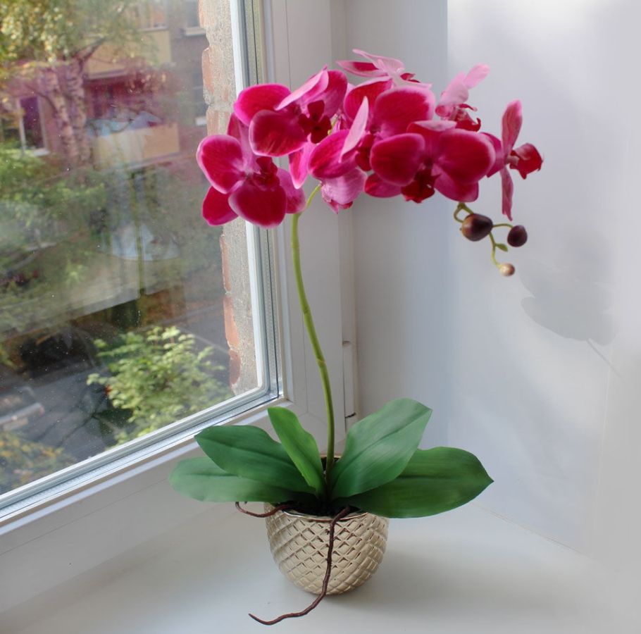 Орхидеи с доставкой на дом